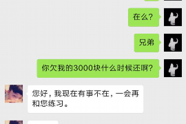 平罗遇到恶意拖欠？专业追讨公司帮您解决烦恼